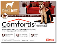 Comfortis